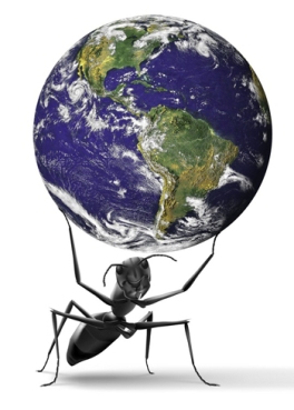 ant-holding-globe-v2